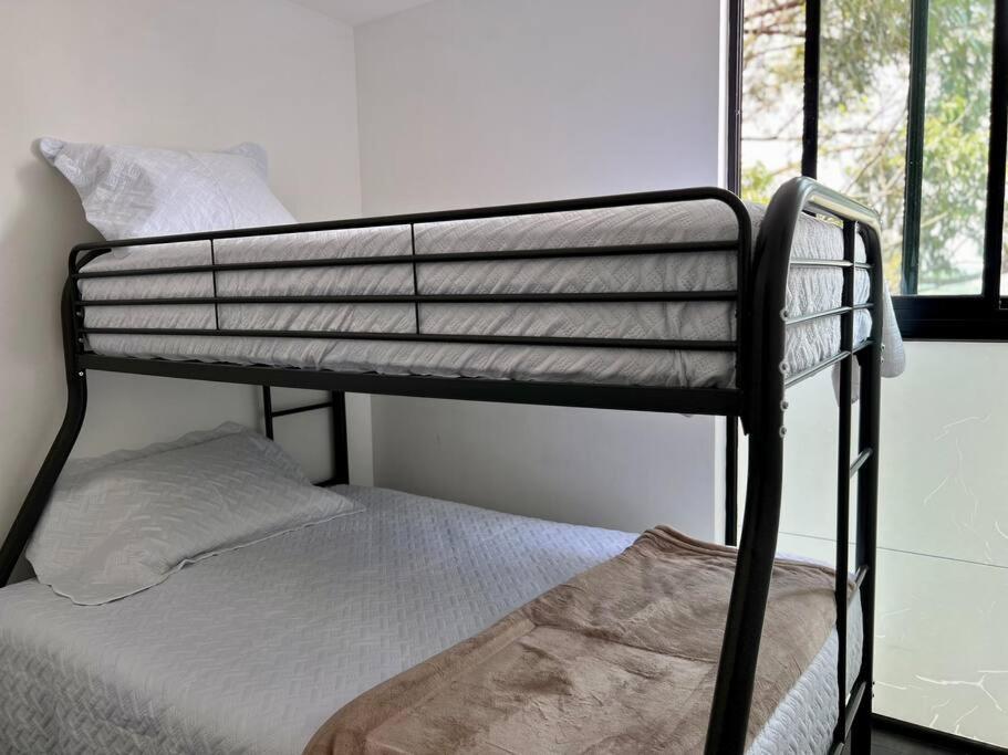Apartment Casa 11